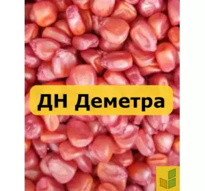 ДН Деметра - кукурудза, насіння гібриду на зерно, силос