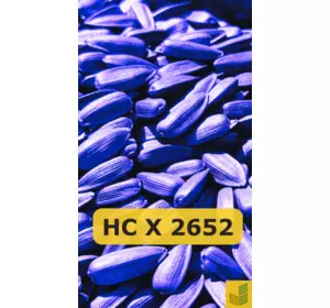 НС Х 2652 - соняшник, насіння гібриду під гранстар