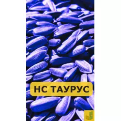 НС Таурус - соняшник, насіння гібриду під євролайтинг