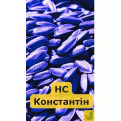 НС Константін ОР - соняшник, насіння класичного гібриду