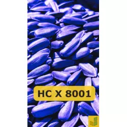 НС Х 8001 - соняшник, насіння гібриду під гранстар