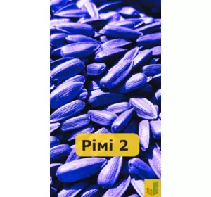 Рімі 2 - соняшник, насіння гібриду під євролайтинг