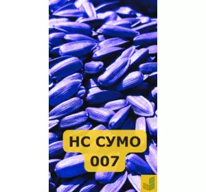 НС Сумо 007 - соняшник, насіння гібриду під гранстар