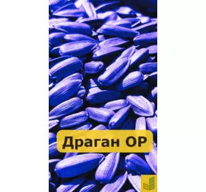 Драган ОР - соняшник, насіння класичного гібриду