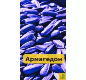 Армагедон - соняшник, насіння гібриду під євролайтинг