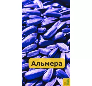 Альмера - соняшник, насіння гібриду під гранстар