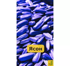 Ясон - соняшник, насіння класичного гібриду